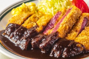 ビーフヘレカツ定食 (5)
