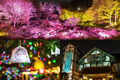 ひかりの森～夜の芸術散歩～ 温かな光に包まれる空間でアートを体感！ | ライフスタイル | 神戸・姫路・阪神淡路の観光・グルメサイト  IchibanKOBE（イチバンコウベ）