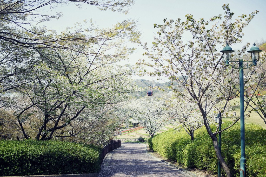 山桜トンネル