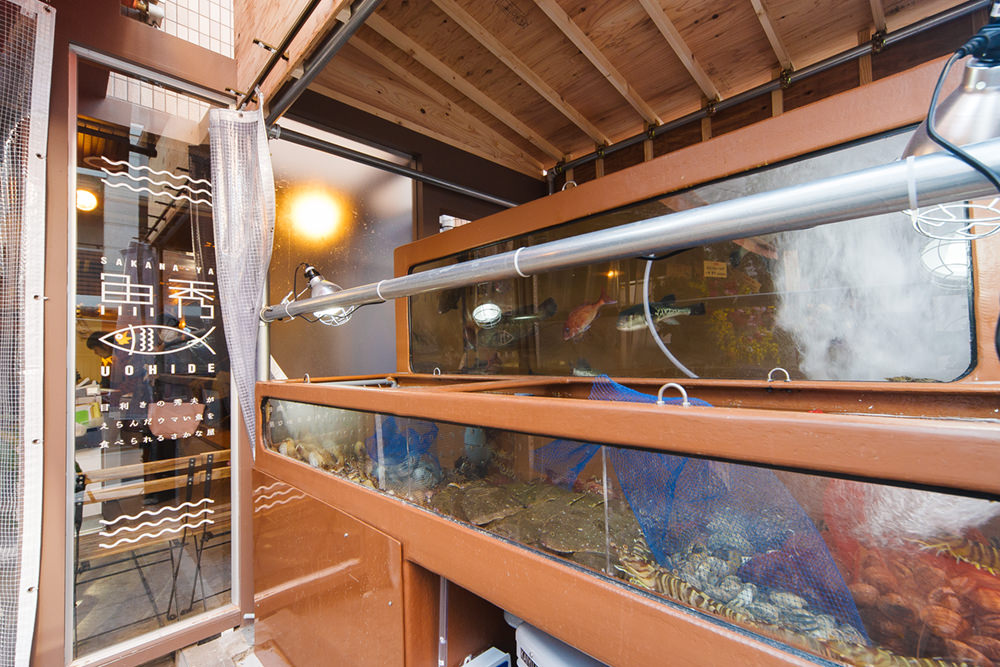 Wild seafood, such as Akashi-dai sea bream, flatfish, and Kuruma-ebi prawn is swimming in the fish tank.
