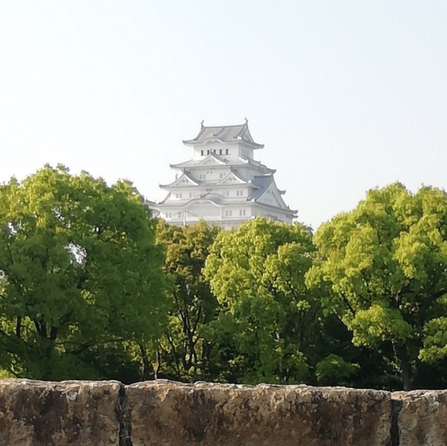 The World Cultural Heritage, Himeji castle!